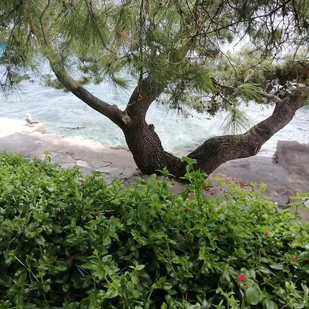 Lägenhet Kuca Za Odmor Zdravka