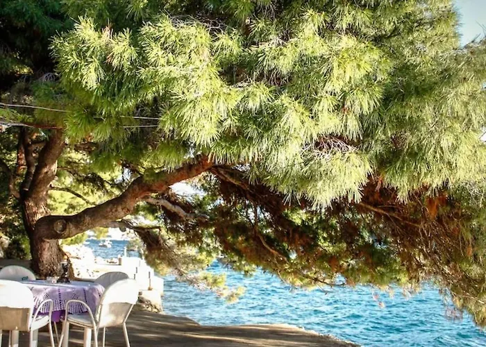 Apartmán Kuca Za Odmor Zdravka