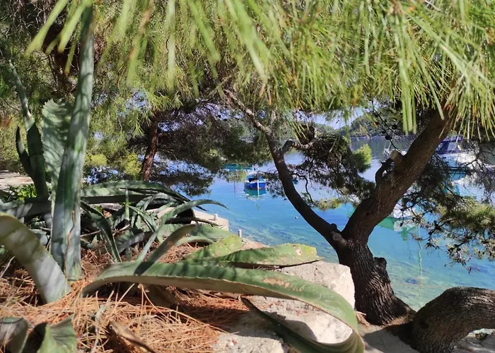 Kuca Za Odmor Zdravka Apartmán Blato (Korcula)