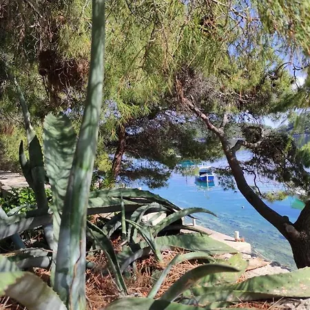 Kuca Za Odmor Zdravka Blato (Korcula)