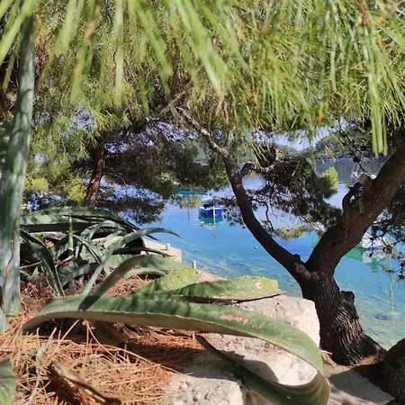 Kuca Za Odmor Zdravka Apartment Blato (Korcula)