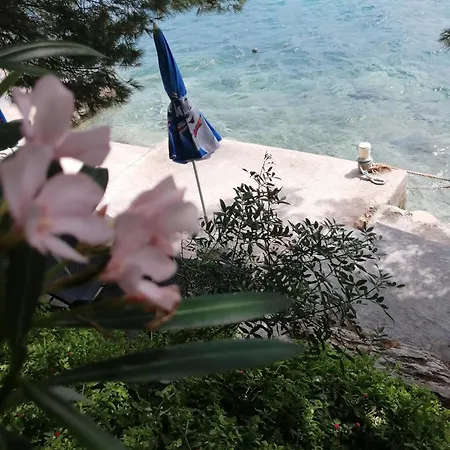 Kuca Za Odmor Zdravka Blato (Korcula)