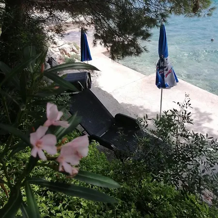 Apartment Kuca Za Odmor Zdravka Blato (Korcula)