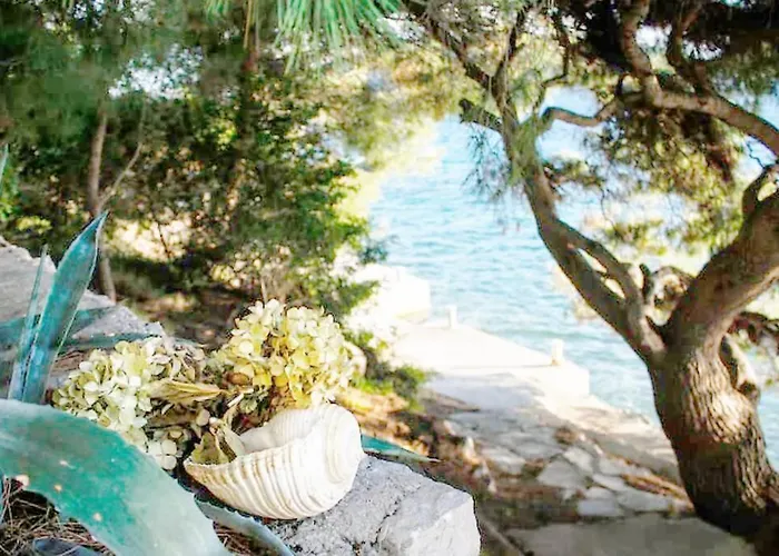 Daire Kuca Za Odmor Zdravka Blato (Korcula)