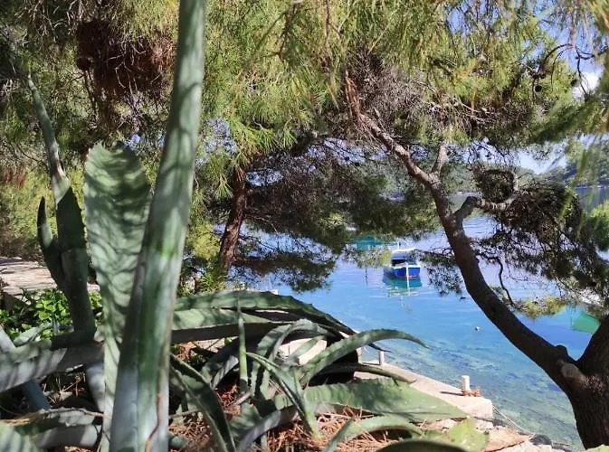 Kuca Za Odmor Zdravka Blato (Korcula)