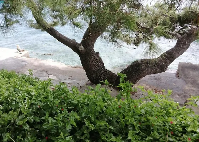 Apartament Kuca Za Odmor Zdravka