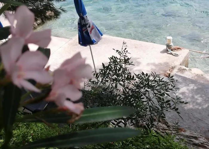 Kuca Za Odmor Zdravka Blato (Korcula)