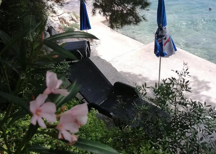 Daire Kuca Za Odmor Zdravka Blato (Korcula)